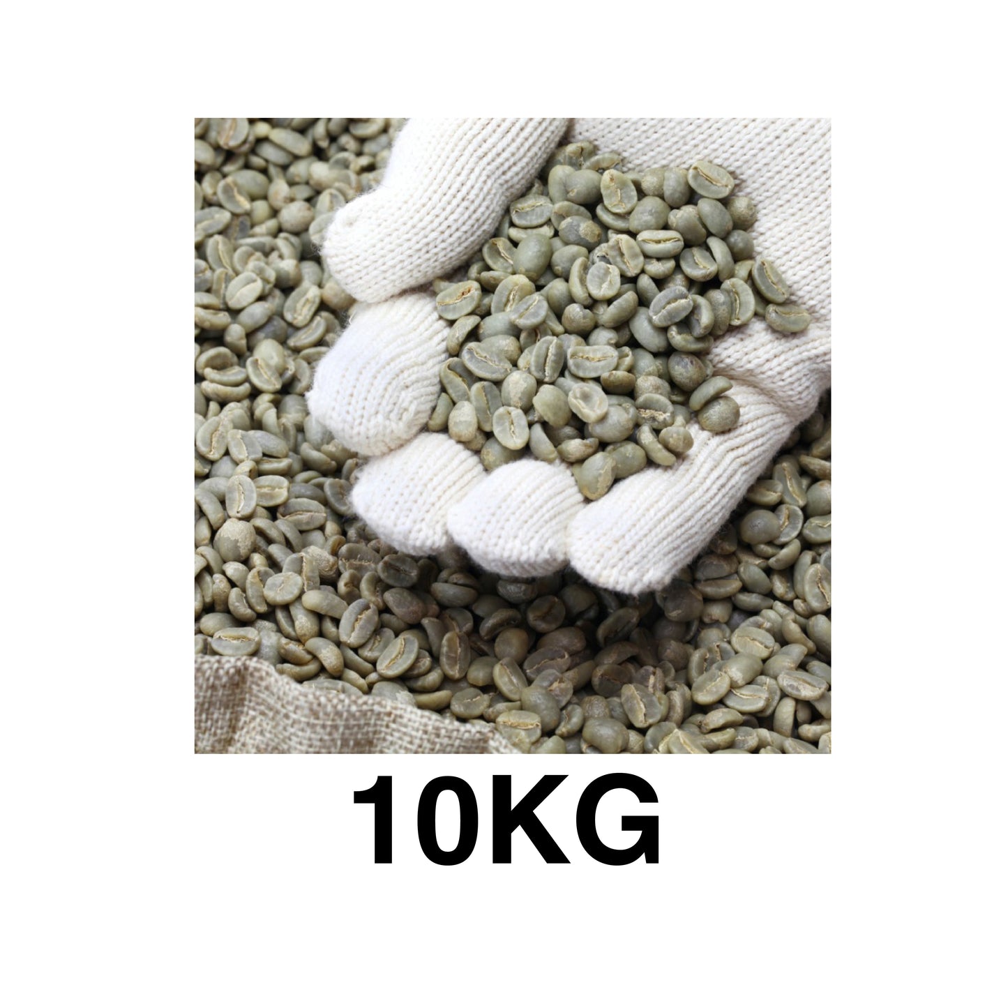 Café verde Gapesh de Oaxaca – 10kg para tostar