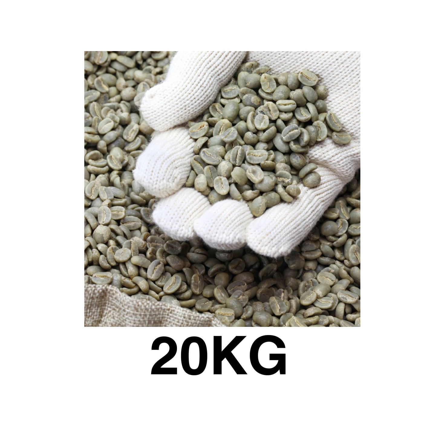 CAFÉ VERDE PARA TOSTAR CLÁSICO PREMIUM Y ESPECIAL