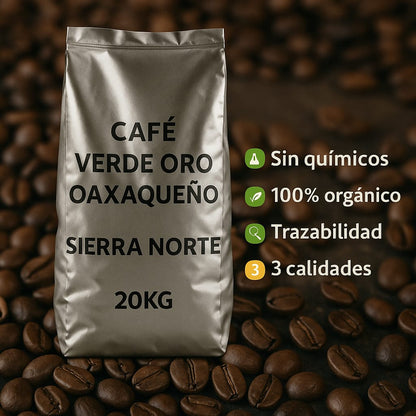 Granos de café verde arábica de la Sierra Norte de Oaxaca