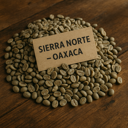 Café verde de Oaxaca listo para tostar – Finca Guiëryu, Sierra Norte
